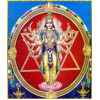 Sudarshana Homam & Abhishekam