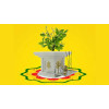 Tulasi Pooja and Tulasi Vivah Sponsorship